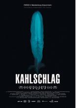 Kahlschlag